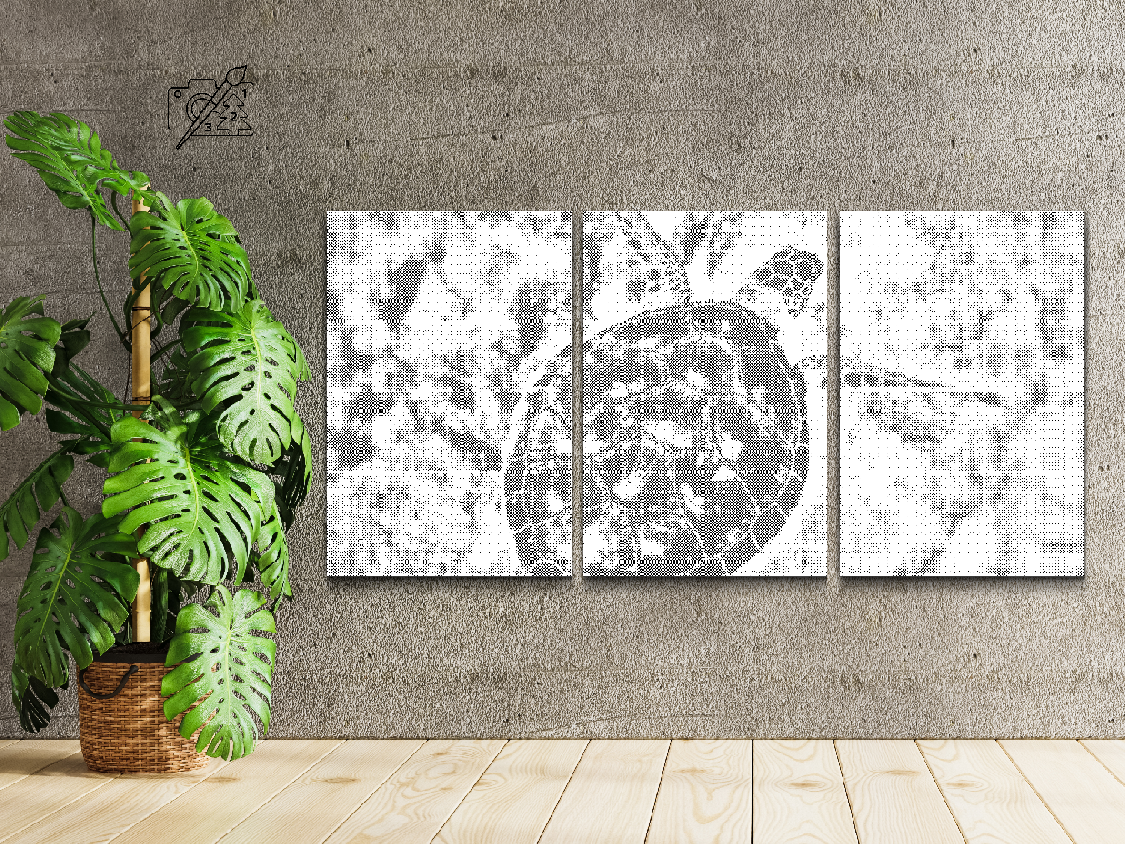 Tortue marine (lot de 3) - Dottingo
