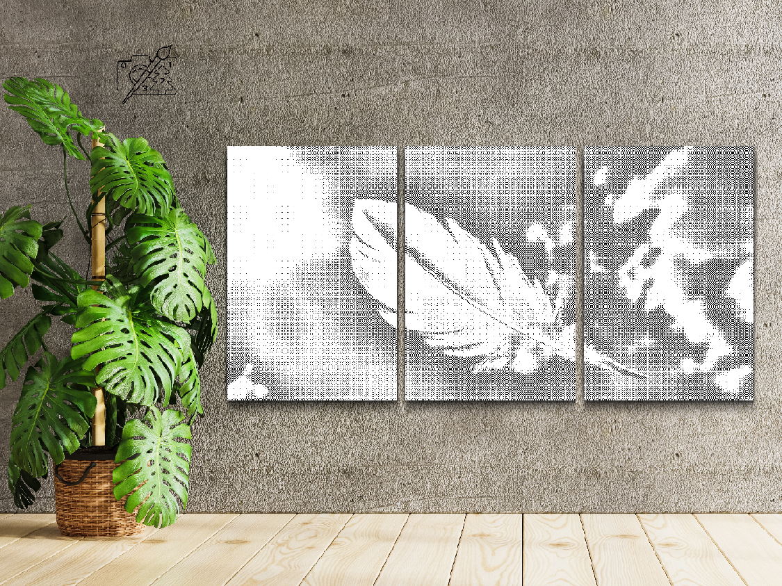 Une plume (lot de 3) - Dottingo
