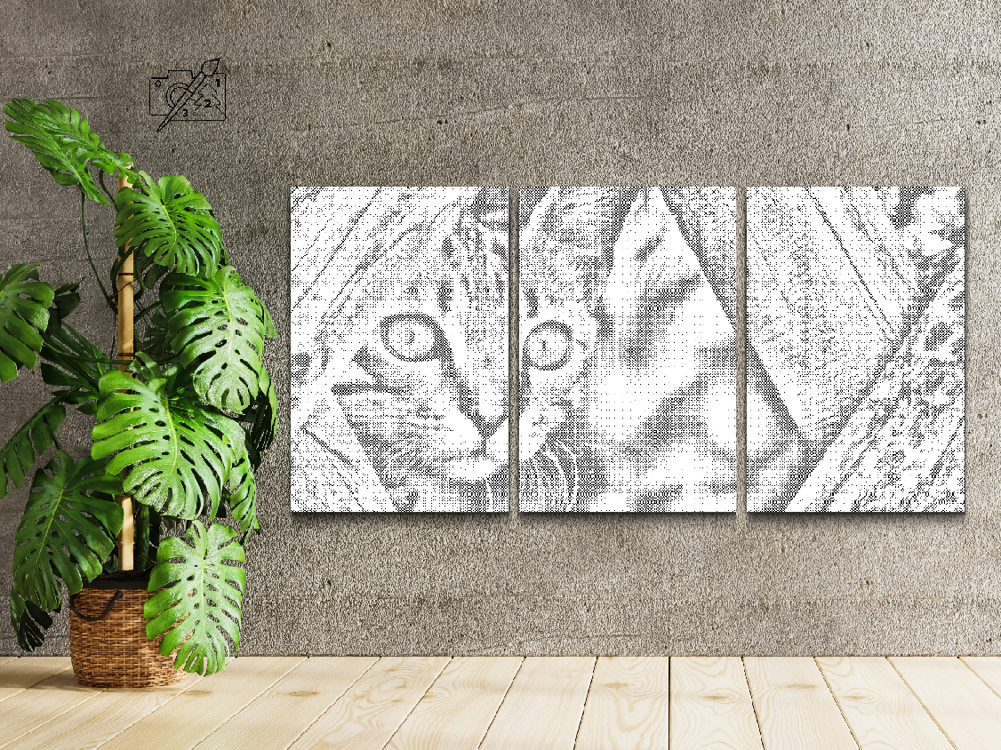 Chaton vigilant (lot de 3) - Dottingo