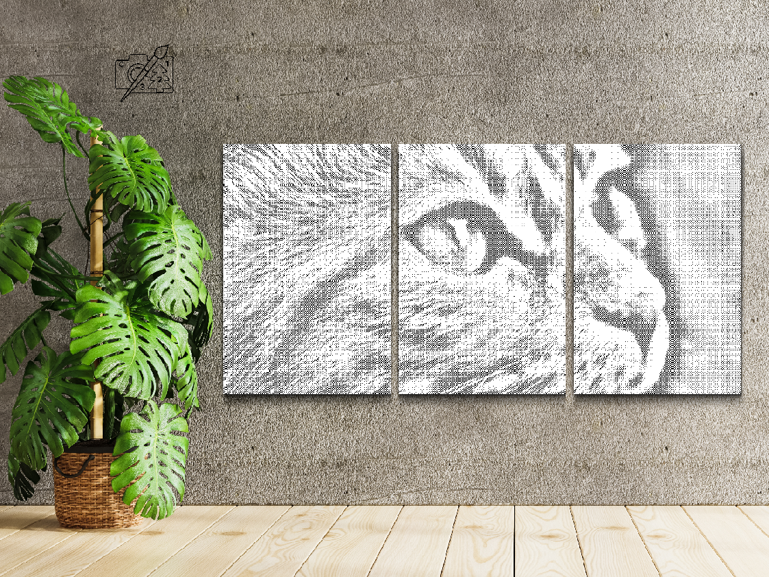 Chaton mignon (lot de 3) - Dottingo