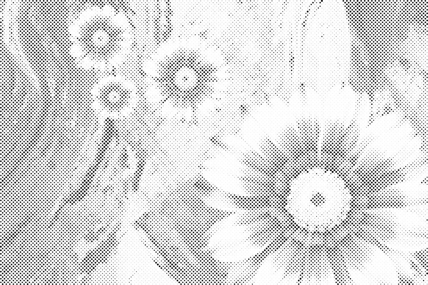 Fleurs d'été - Dottingo