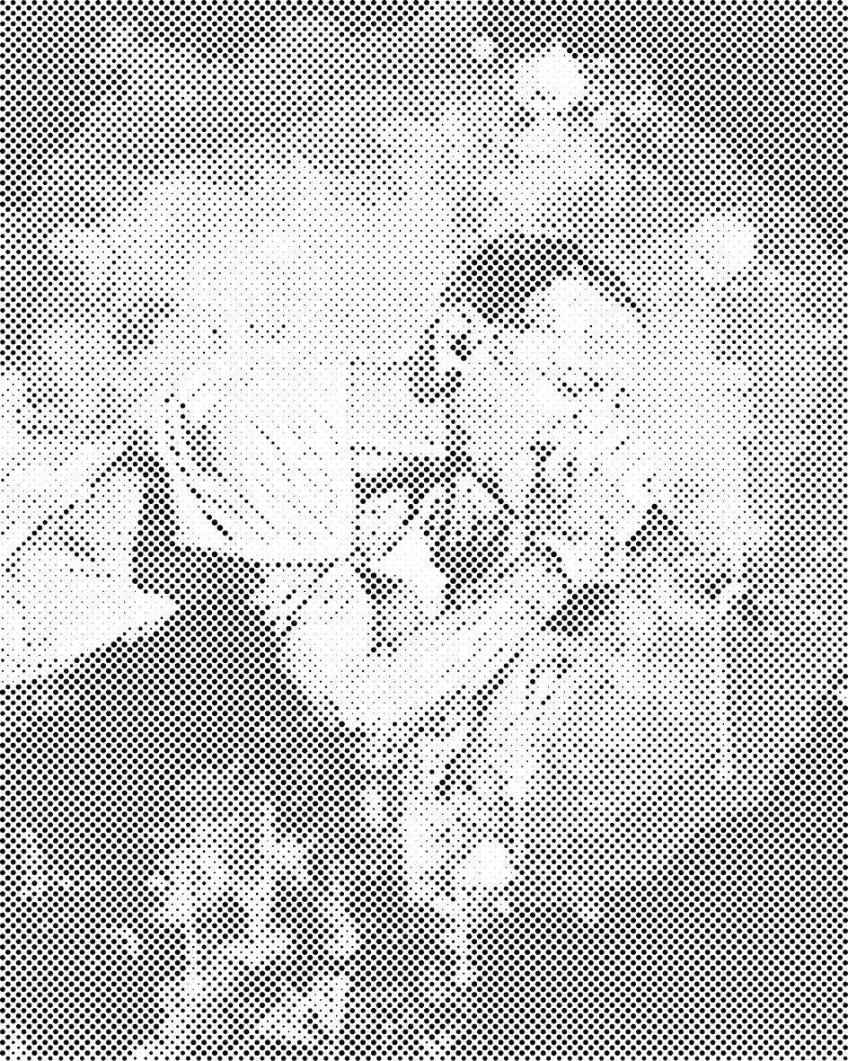 Chester - Dottingo