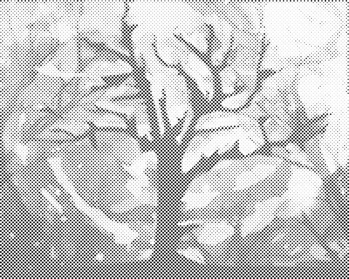 Arbre avec un fond enchanteur - Dottingo