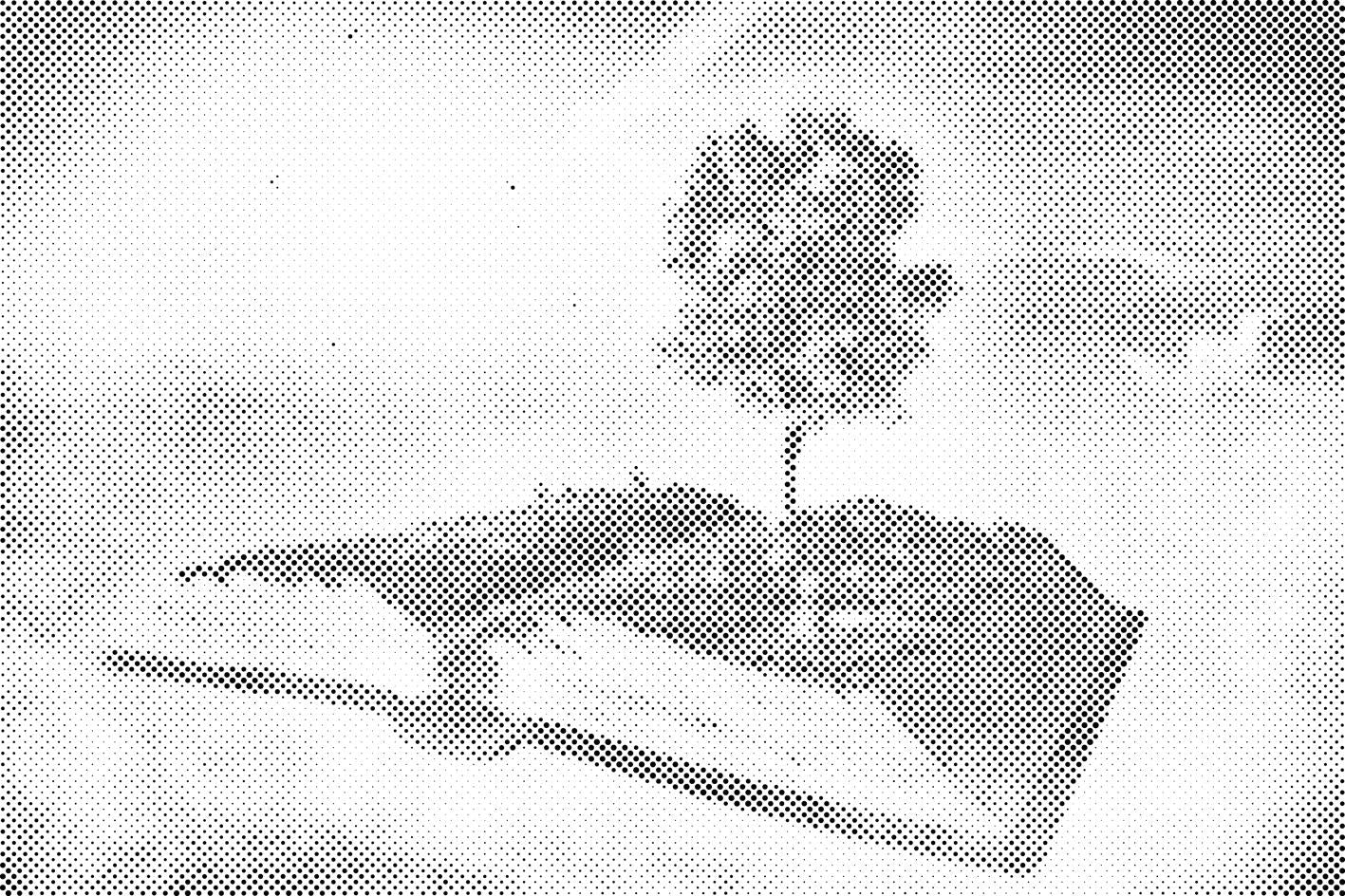 Livre dans les nuages - Dottingo