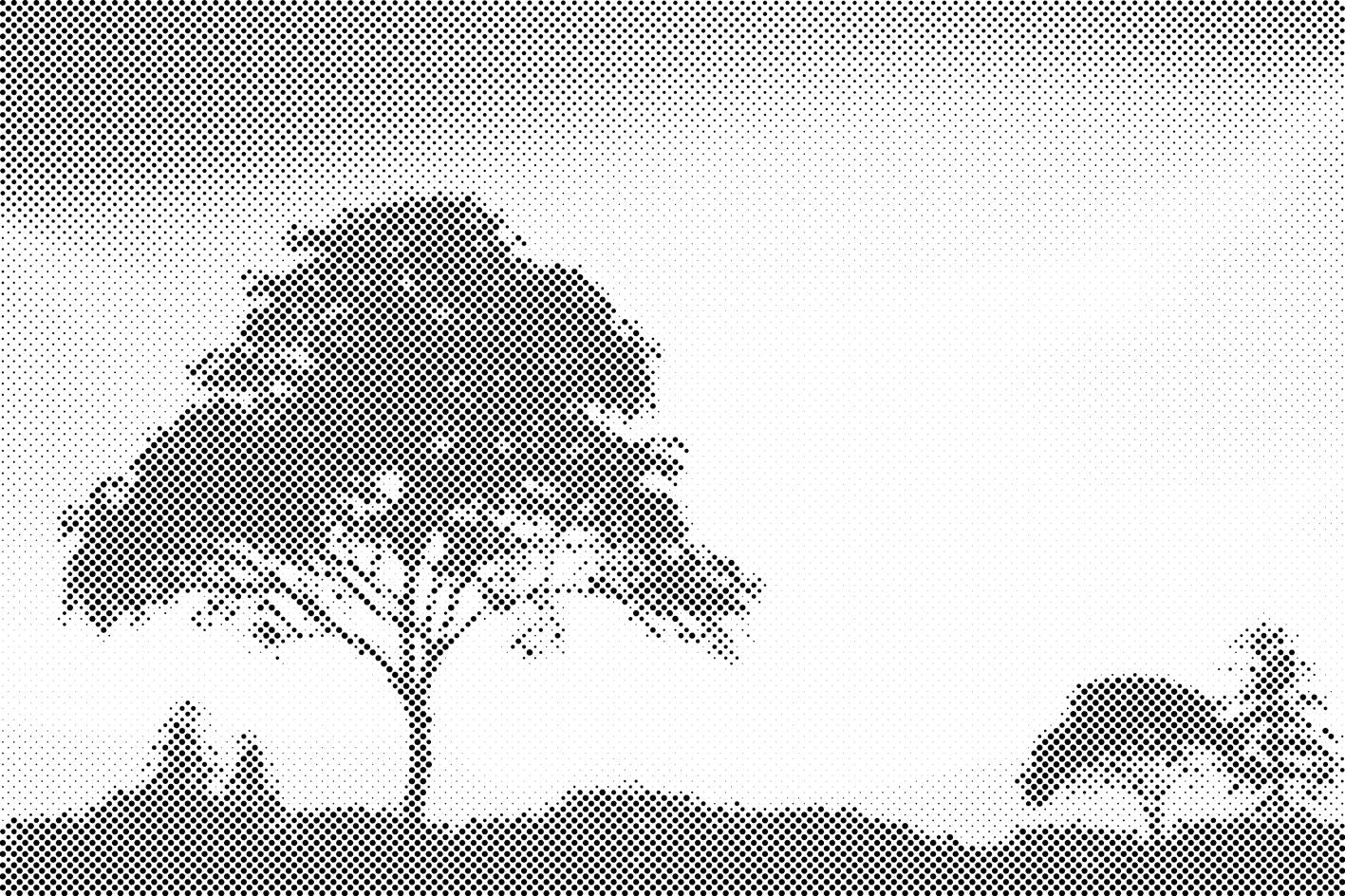Nature au coucher du soleil - Dottingo