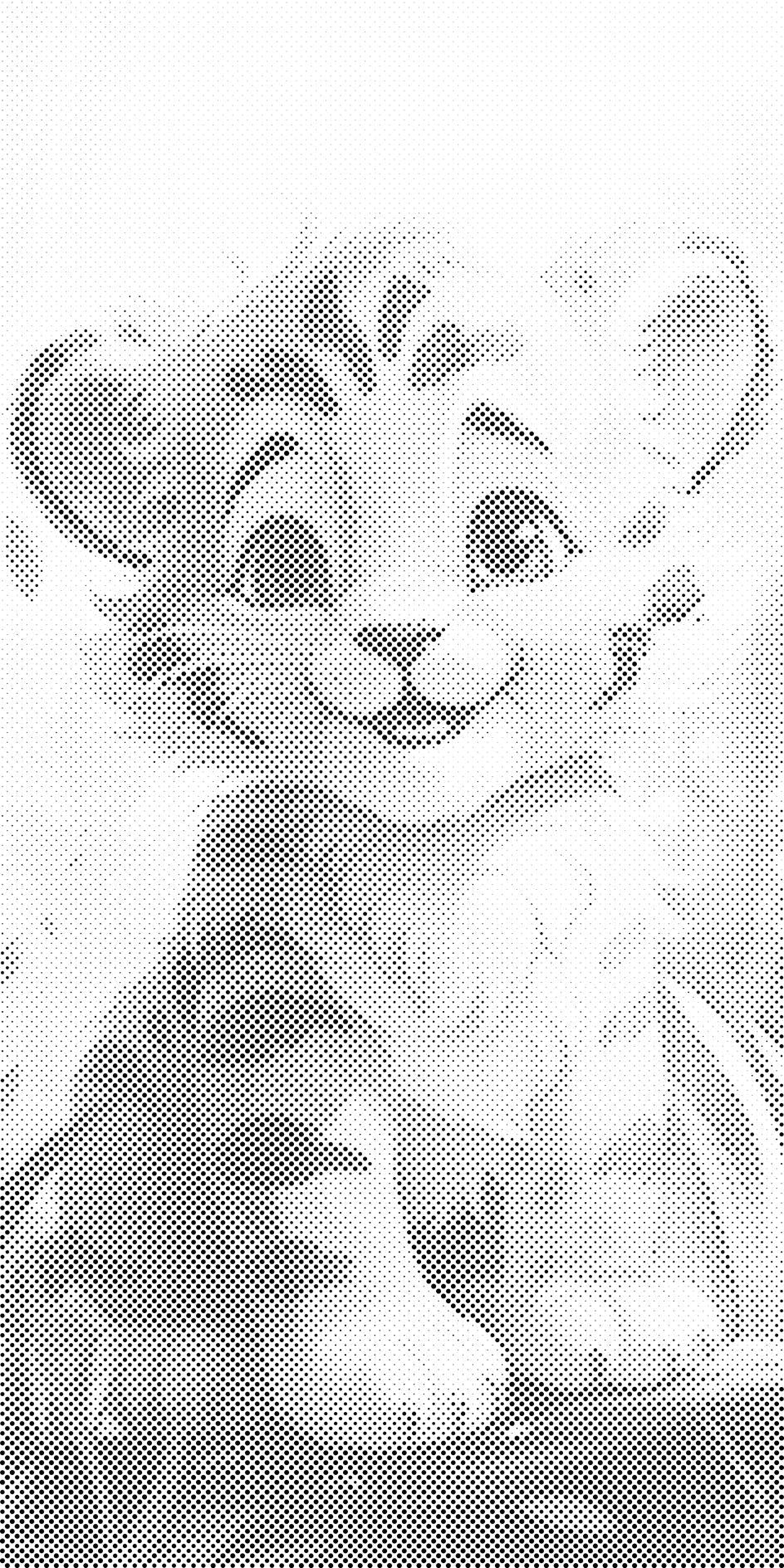 Petit tigre - Dottingo