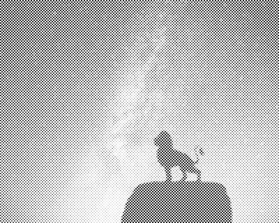 Lion sur la pierre - Dottingo