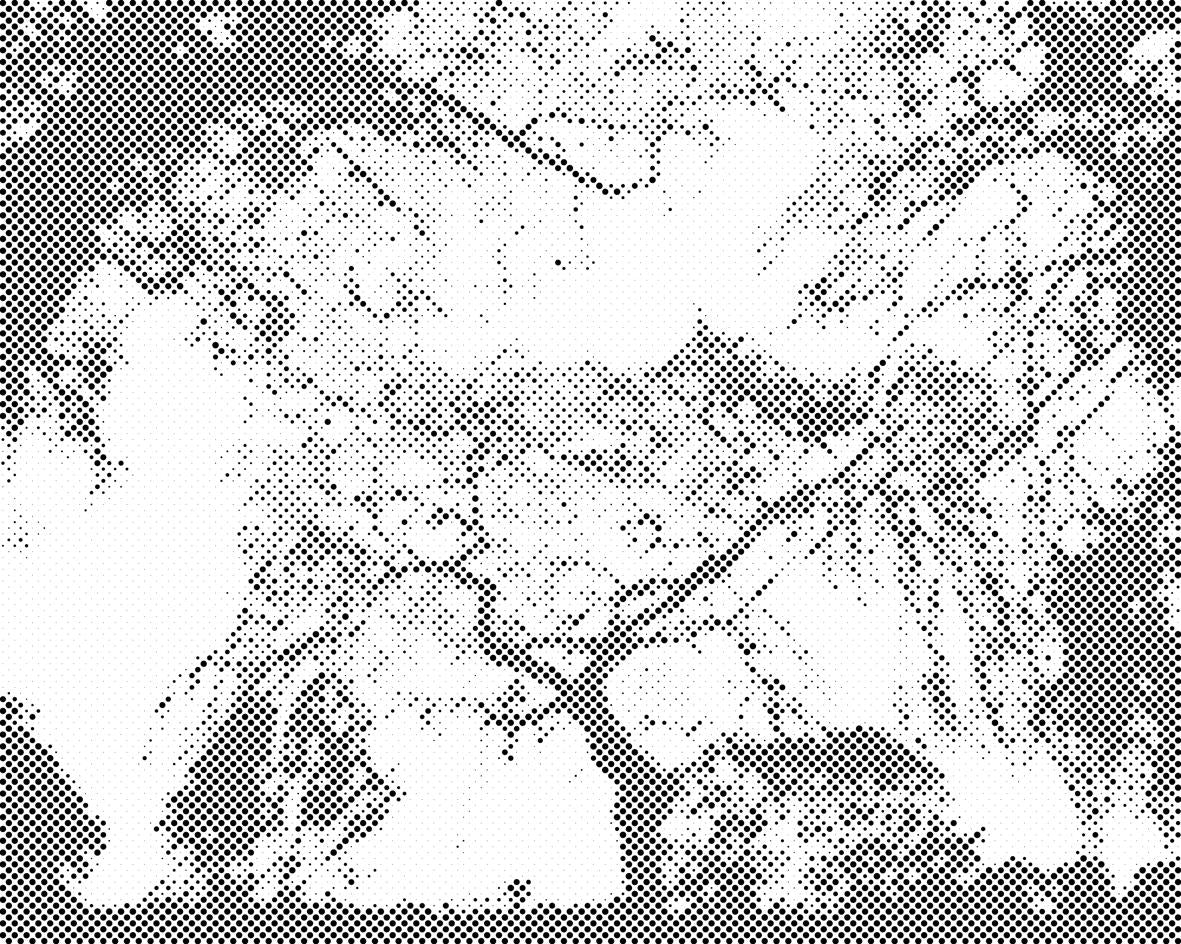 Silhouette d’arbres - Dottingo