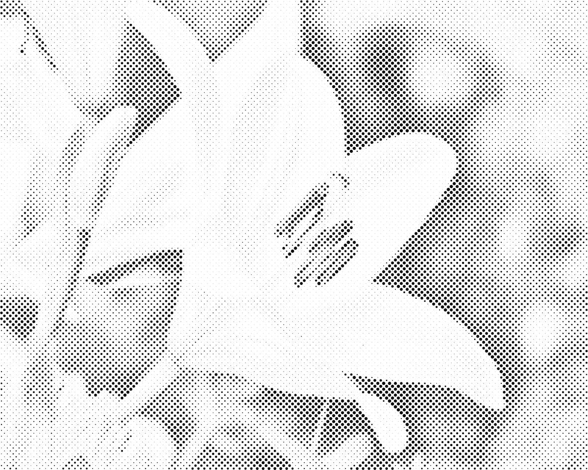 Lys blanc - Dottingo