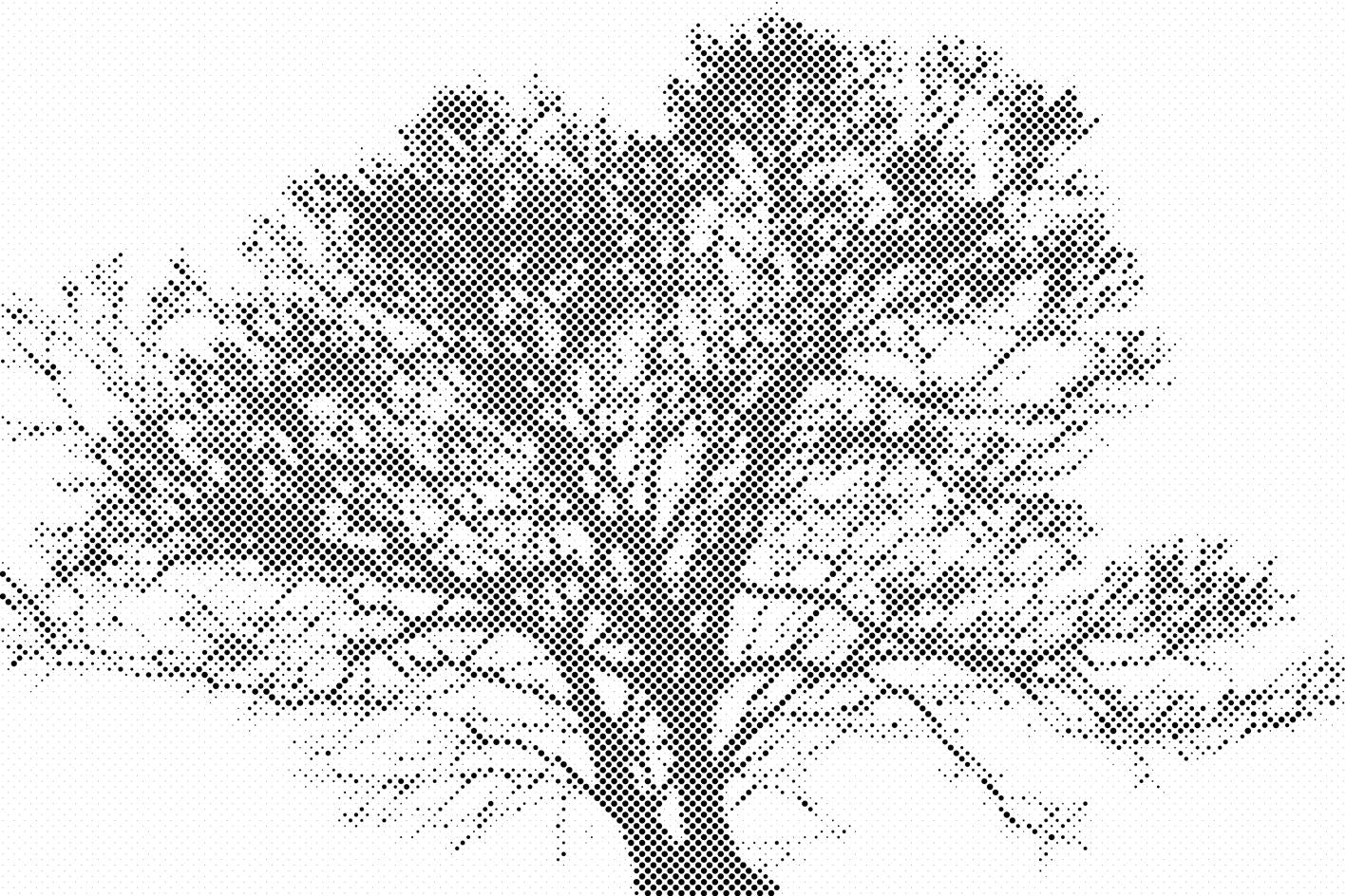Arbre noir et blanc - Dottingo