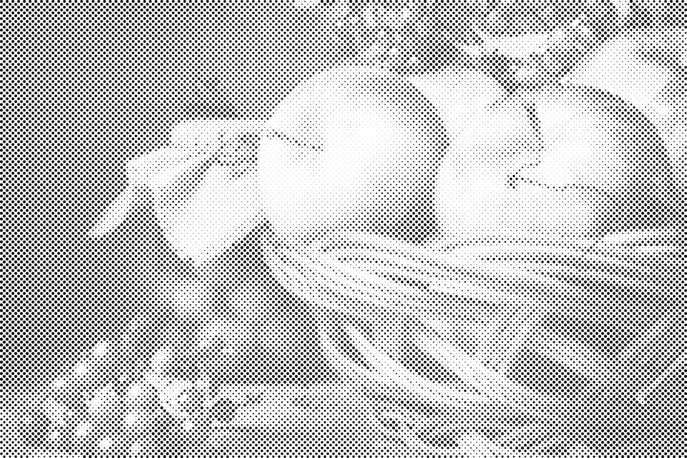 Fruits du jardin - Dottingo
