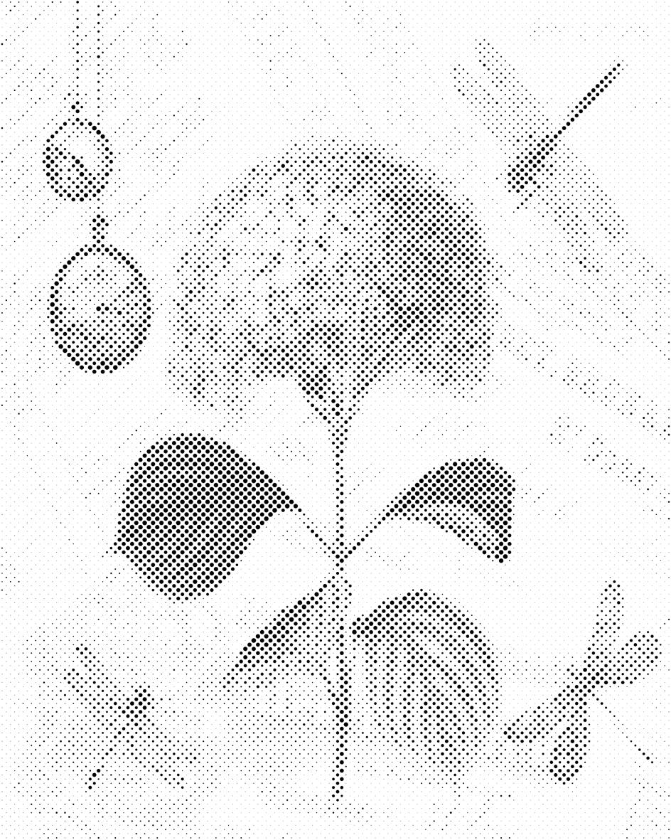 Hortensia et libellules - Dottingo