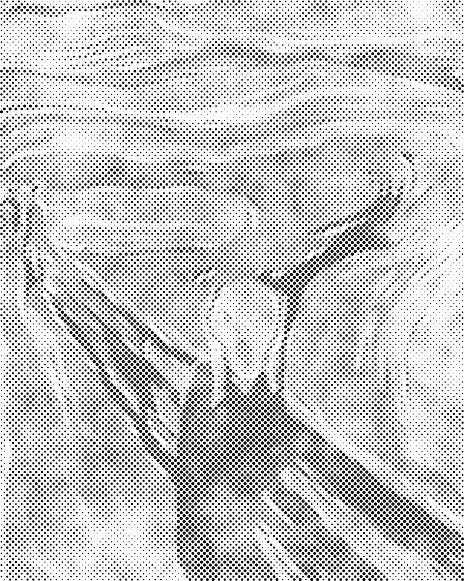 Edvard Munch - Le Cri - Dottingo