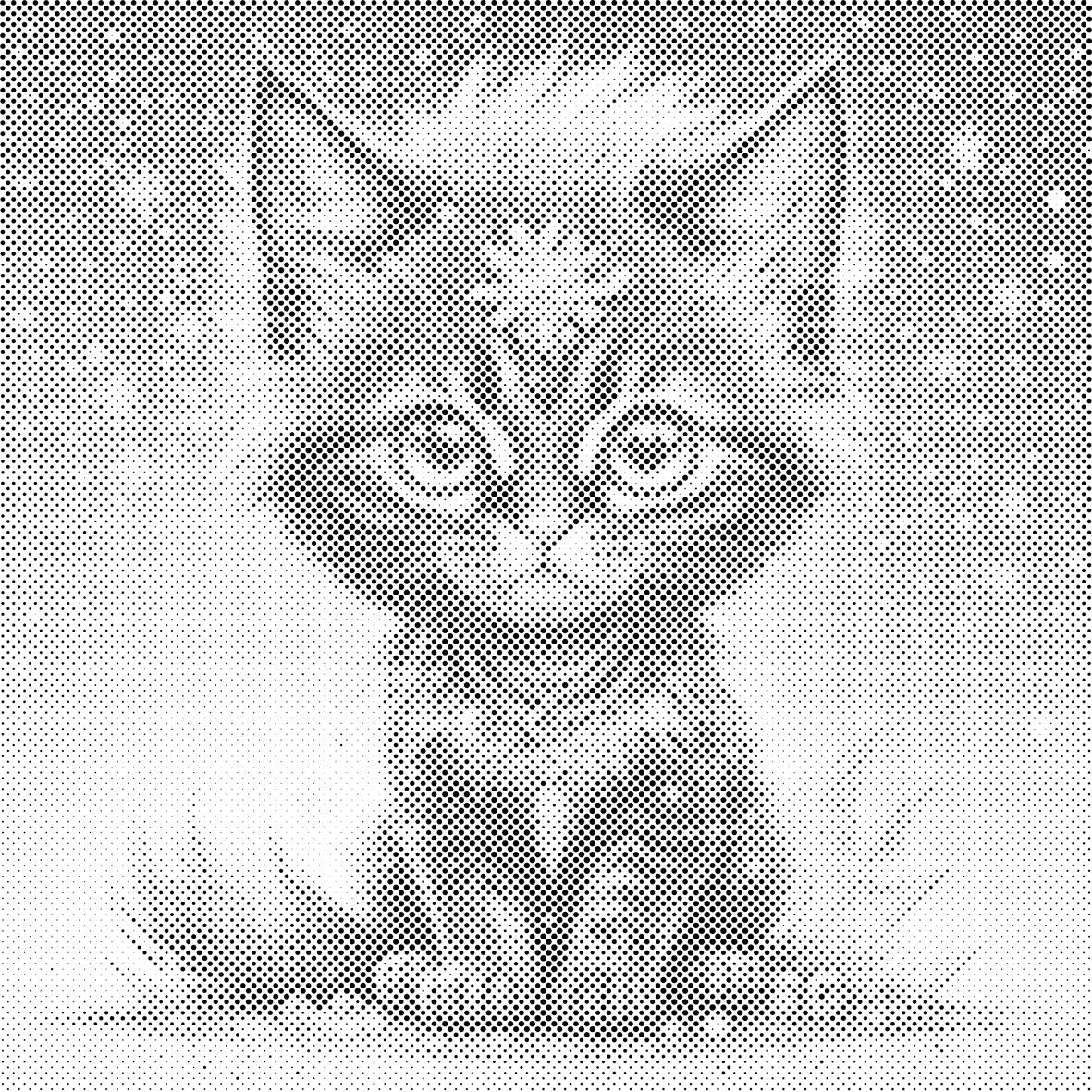 Chaton noir irisé - Dottingo
