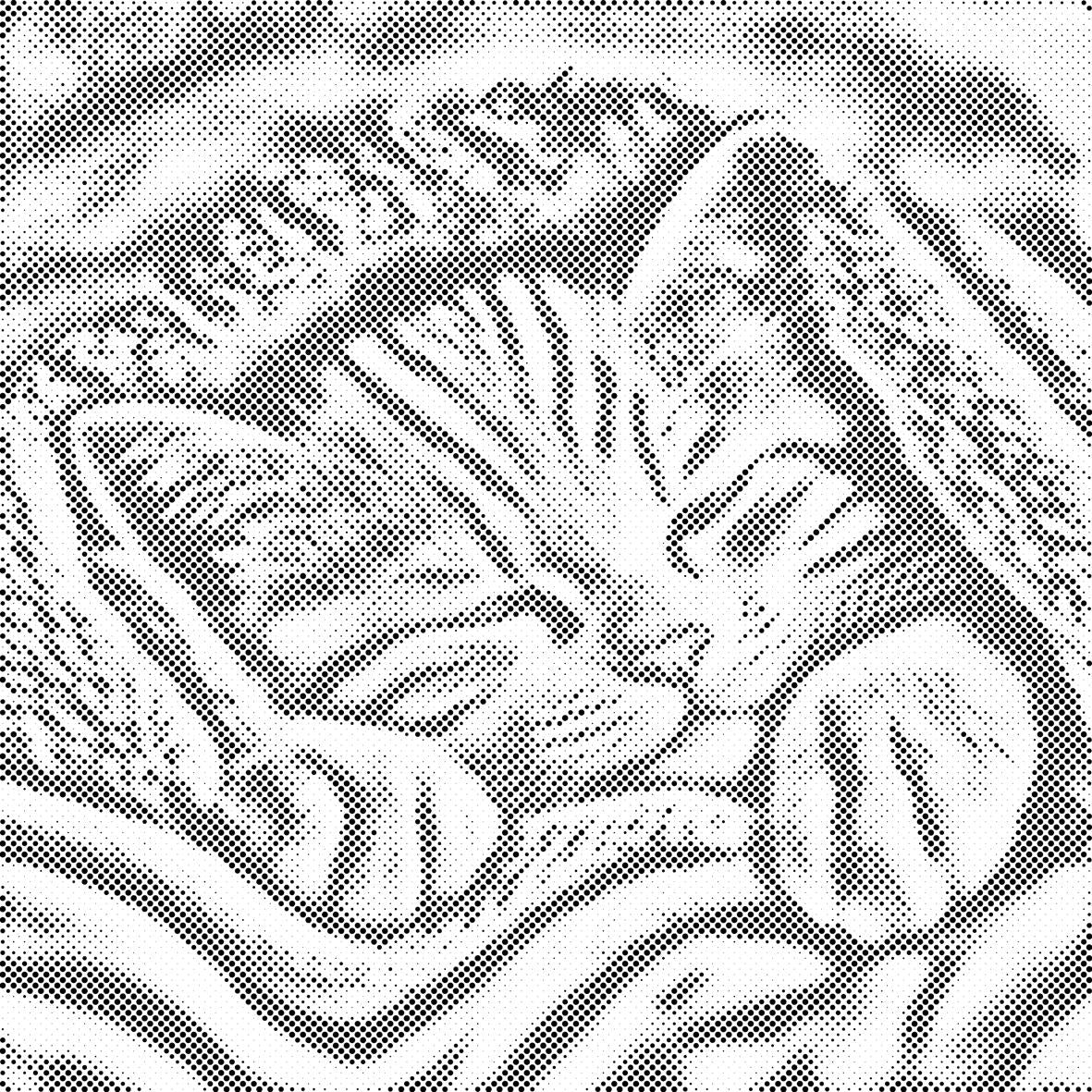 Chaton abrité - Dottingo