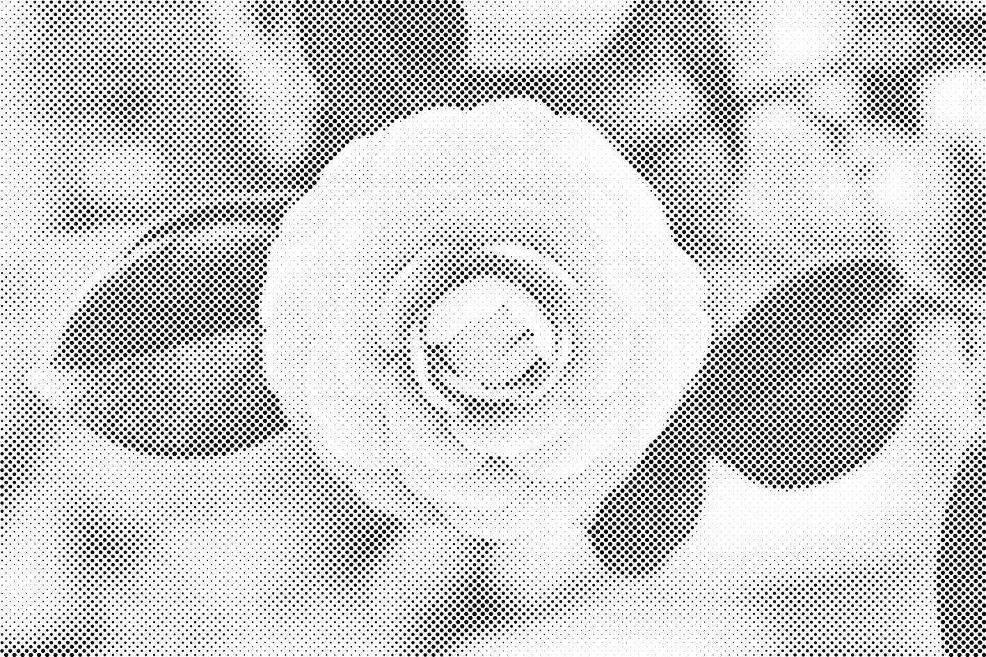 Camélia - Dottingo