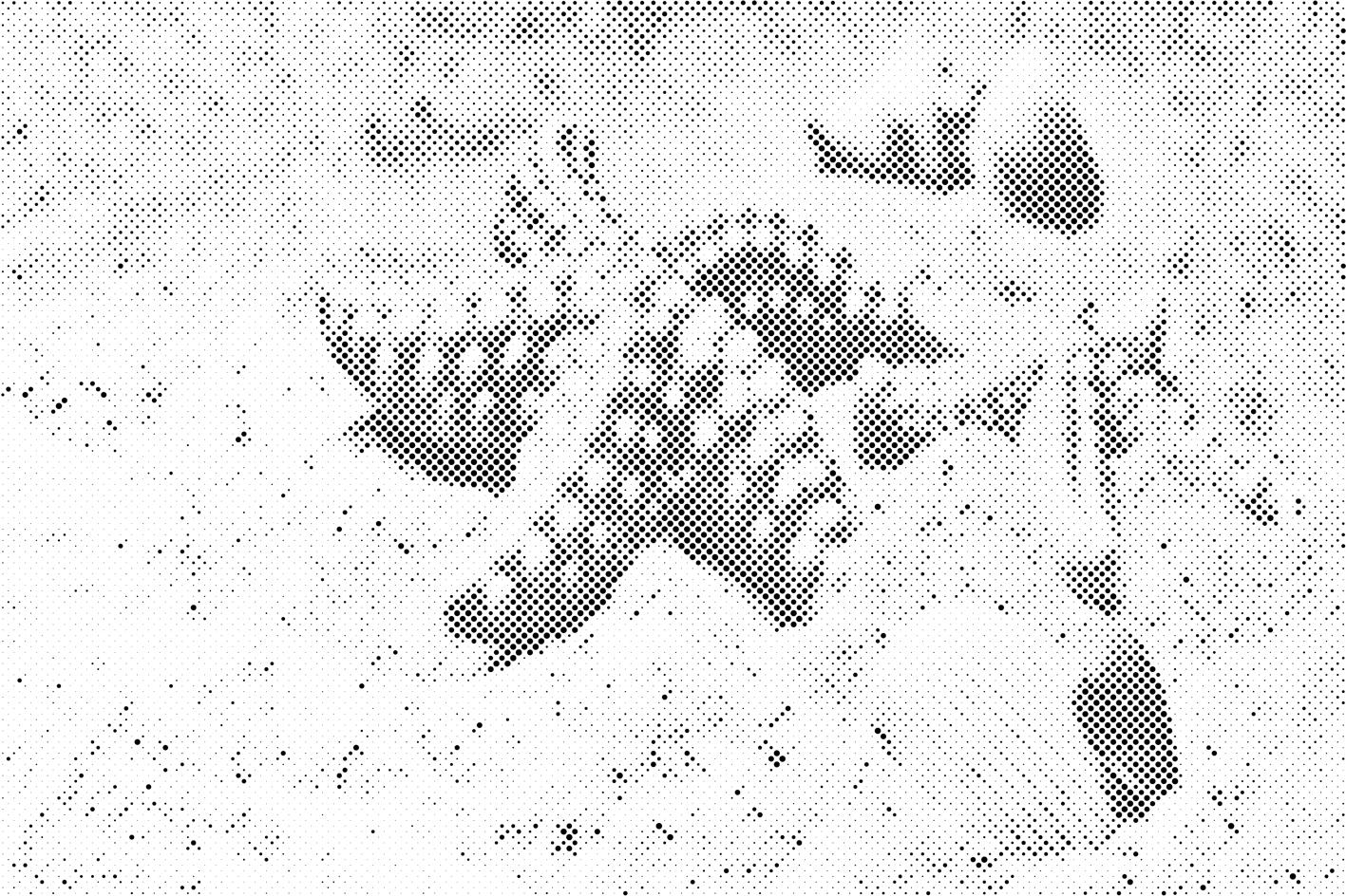 Etoile de mer dans le sable - Dottingo