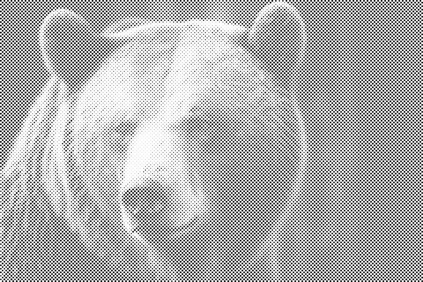 Ours grizzly - Dottingo