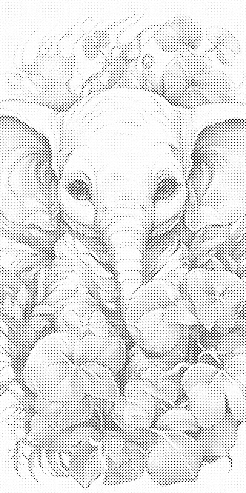 Éléphanteau parmi les plantes - Dottingo