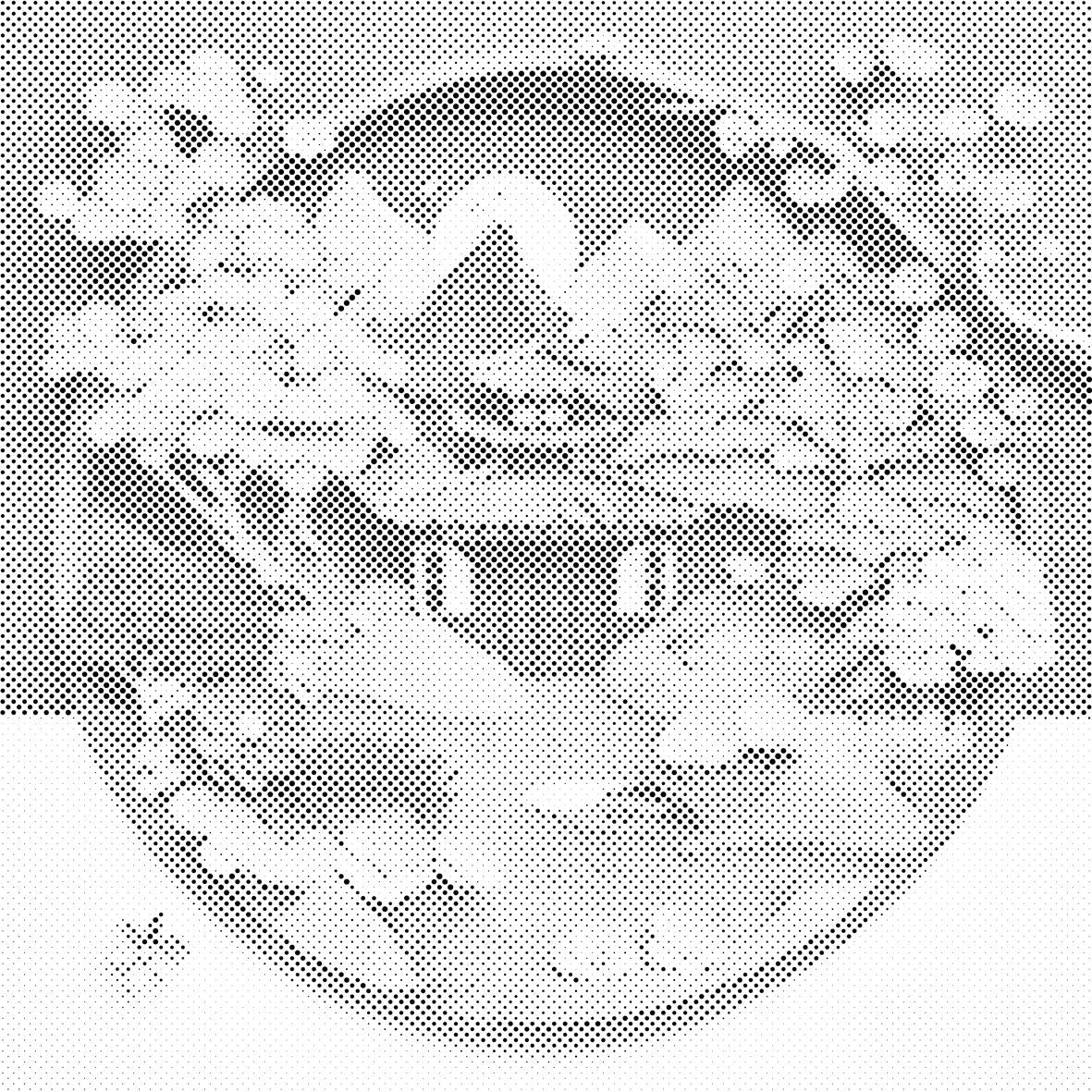 Jardin japonais - Dottingo