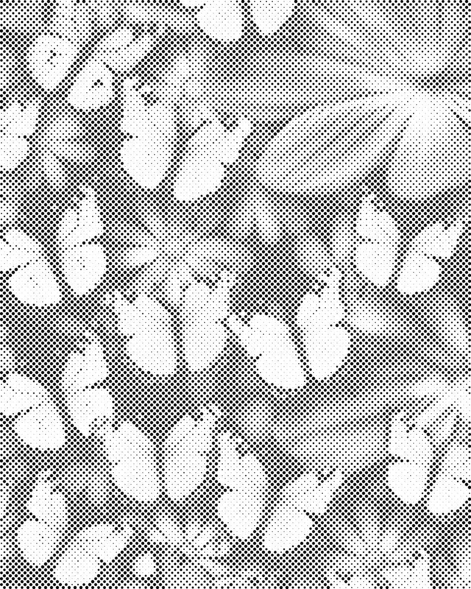 Papillons colorés - Dottingo