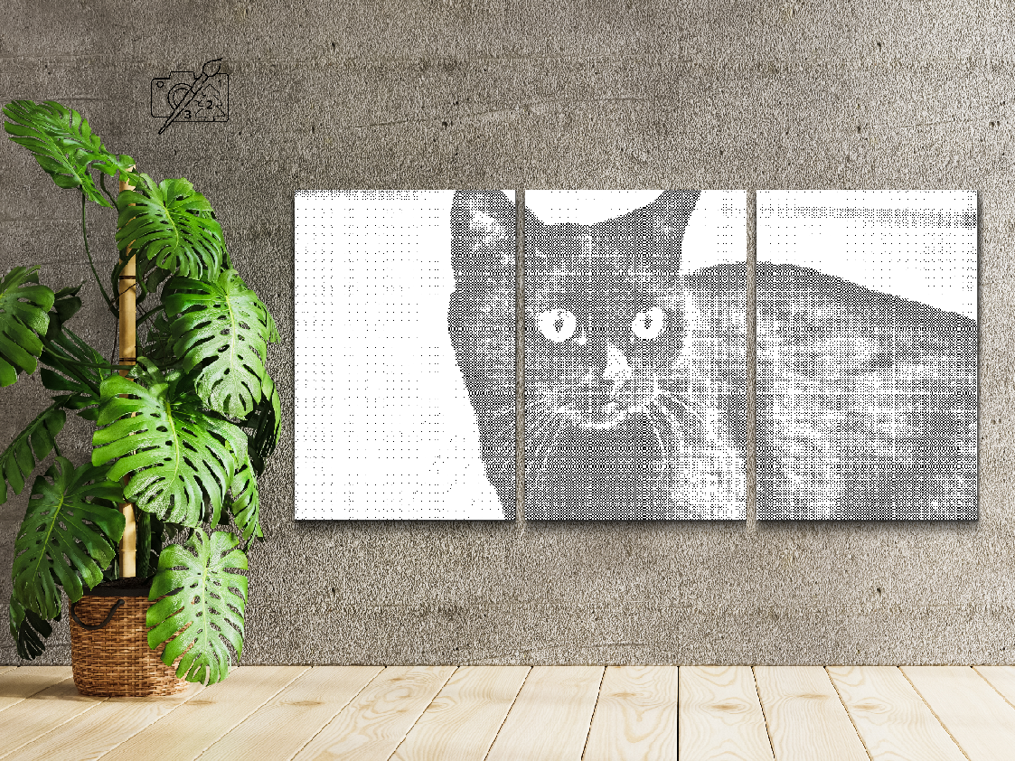Chat noir sauvage (lot de 3) - Dottingo