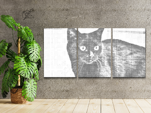 Chat noir sauvage (lot de 3) - Dottingo