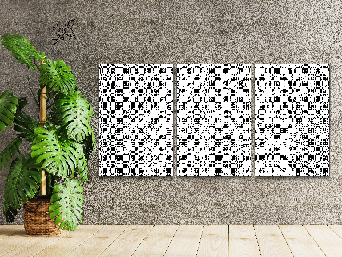 Roi des animaux (lot de 3) - Dottingo