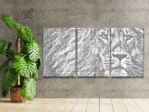 Roi des animaux (lot de 3) - Dottingo