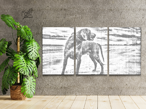 Un chien sur la plage (lot de 3) - Dottingo