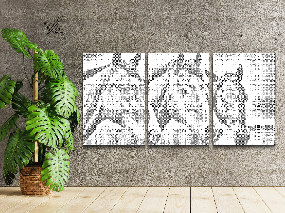 Les trois chevaux (lot de 3) - Dottingo