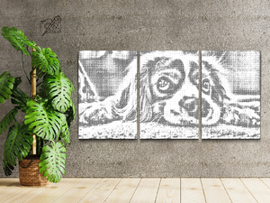 Chiot avec yeux implorants (lot de 3) - Dottingo