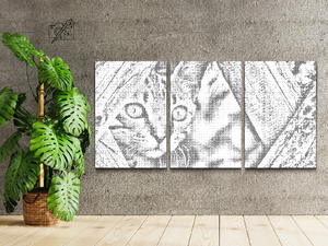 Chaton vigilant (lot de 3) - Dottingo