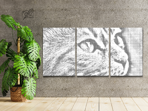 Chaton mignon (lot de 3) - Dottingo