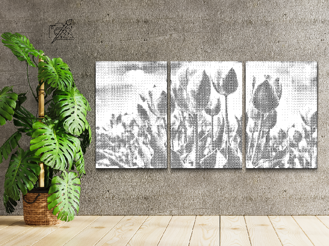 Champ de tulipes (lot de 3) - Dottingo