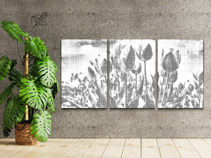 Champ de tulipes (lot de 3) - Dottingo