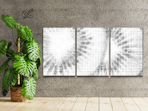 Fond kiwi (lot de 3) - Dottingo