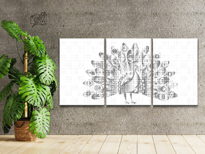 Paon fier (lot de 3) - Dottingo