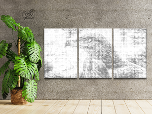 Oiseau de proie (lot de 3) - Dottingo