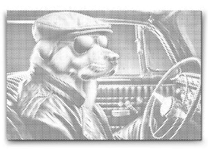 Chien dans un cabriolet noir - Dottingo