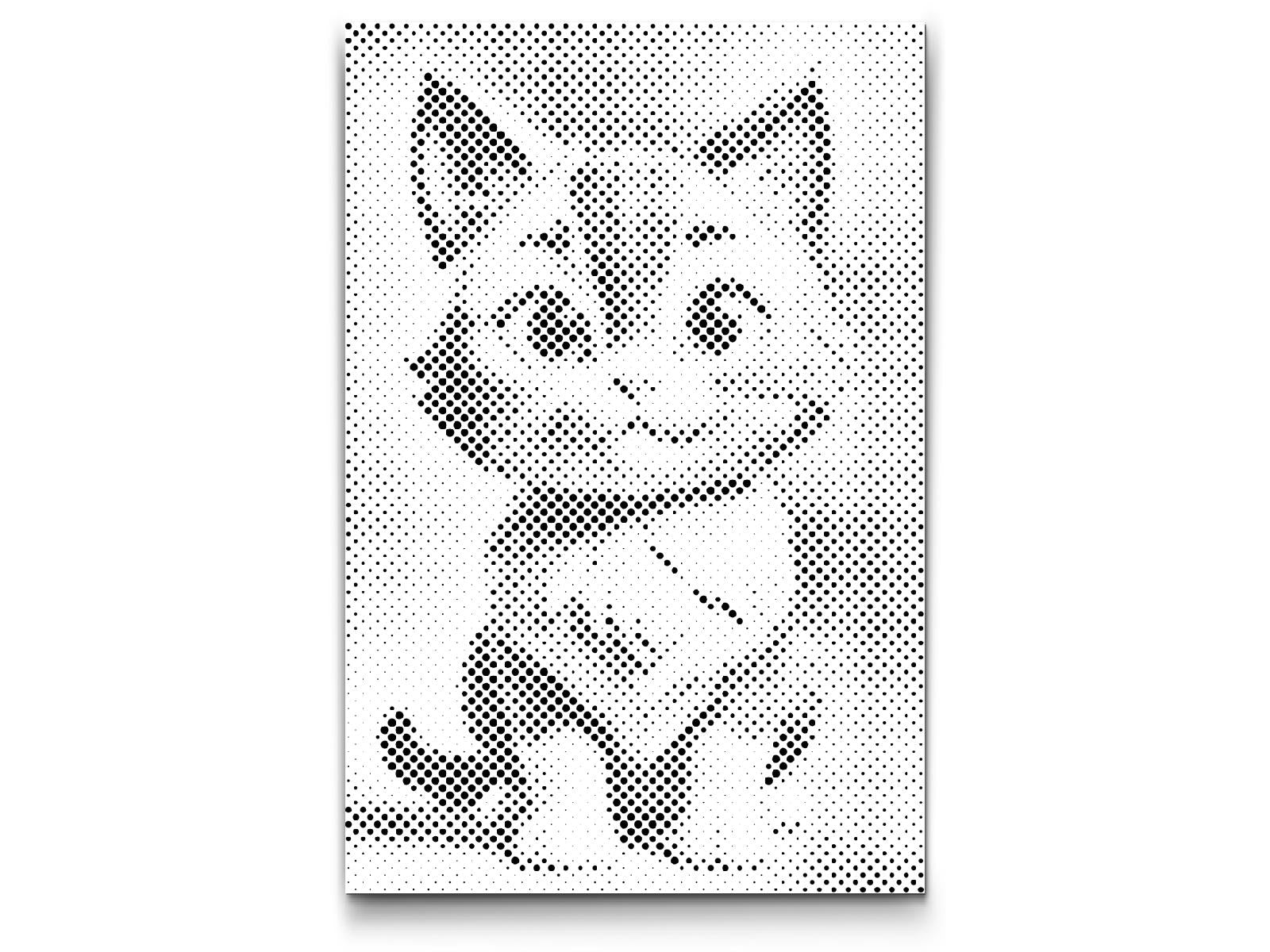 Chat pour enfants - Dottingo