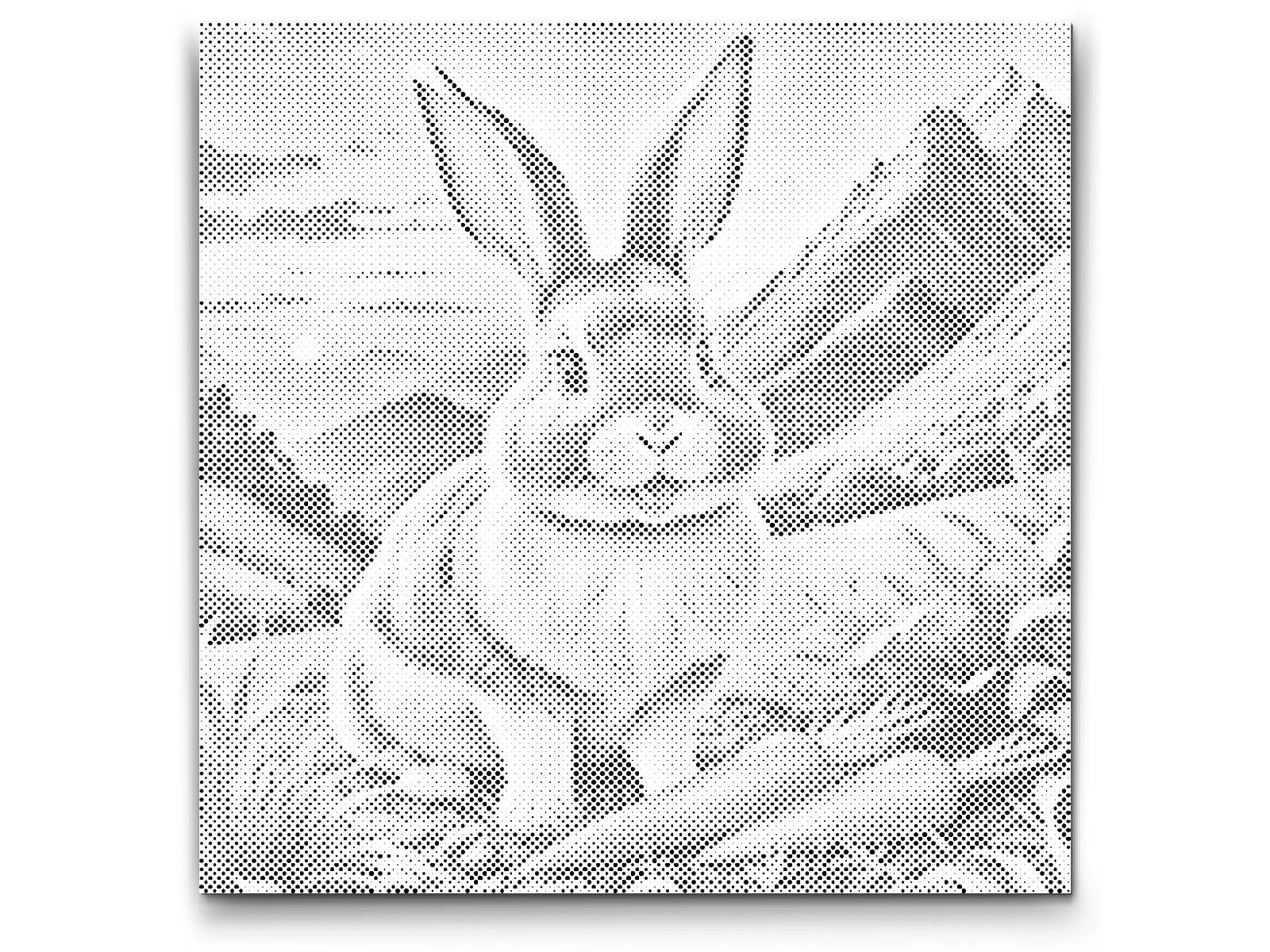 Lapin joyeux avec une carotte - Dottingo