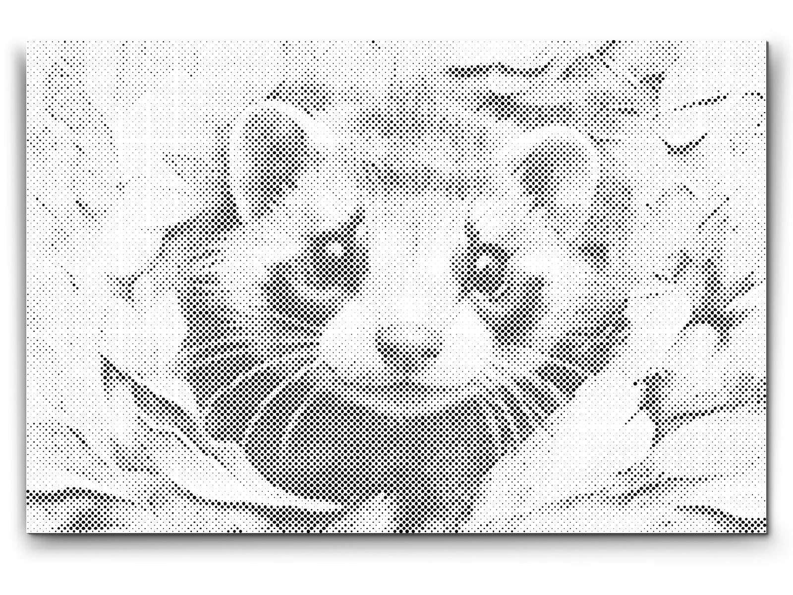 Furet joyeux - Dottingo