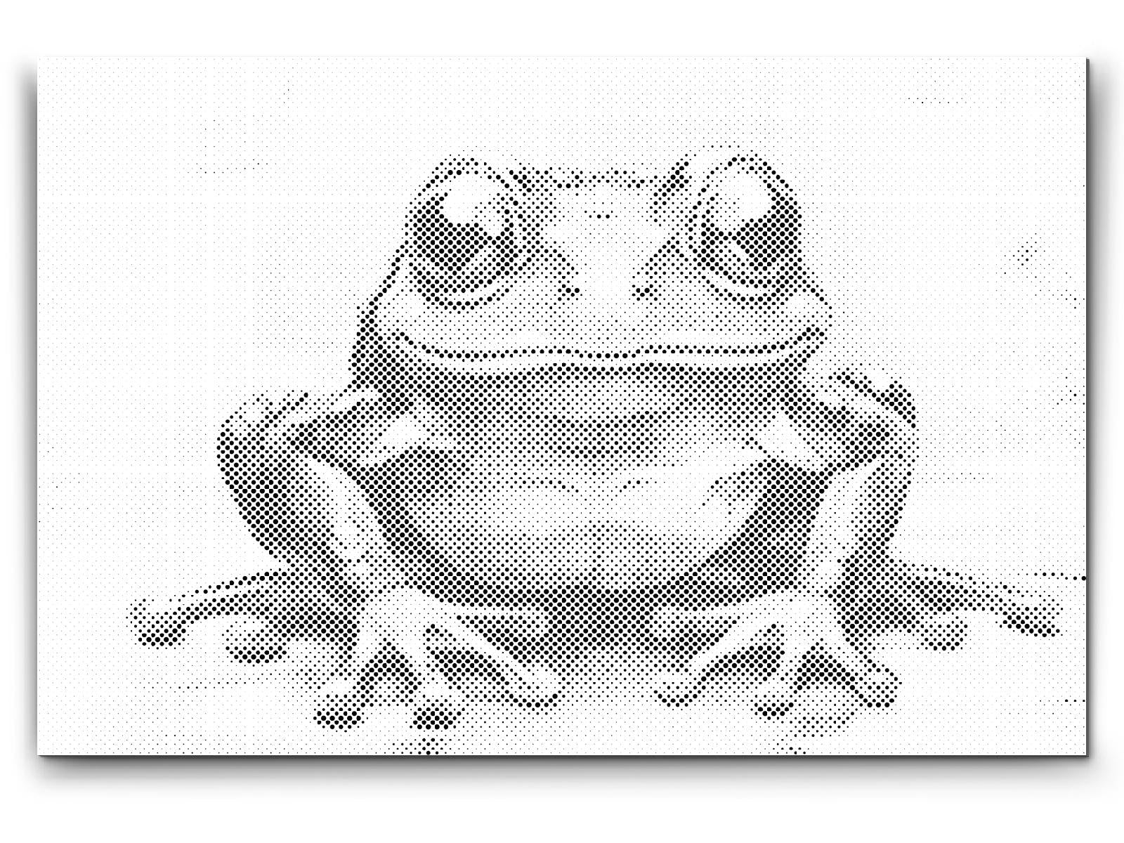 Grenouille joyeuse - Dottingo