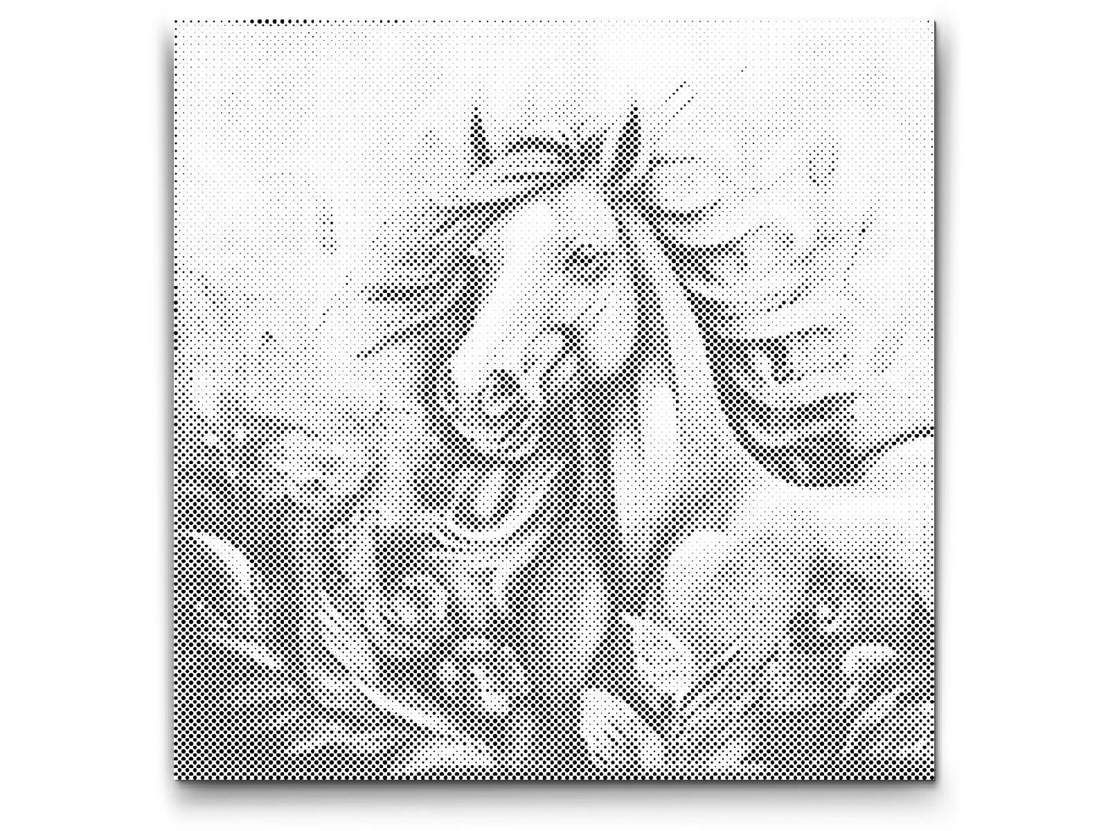 Cheval joyeux - Dottingo