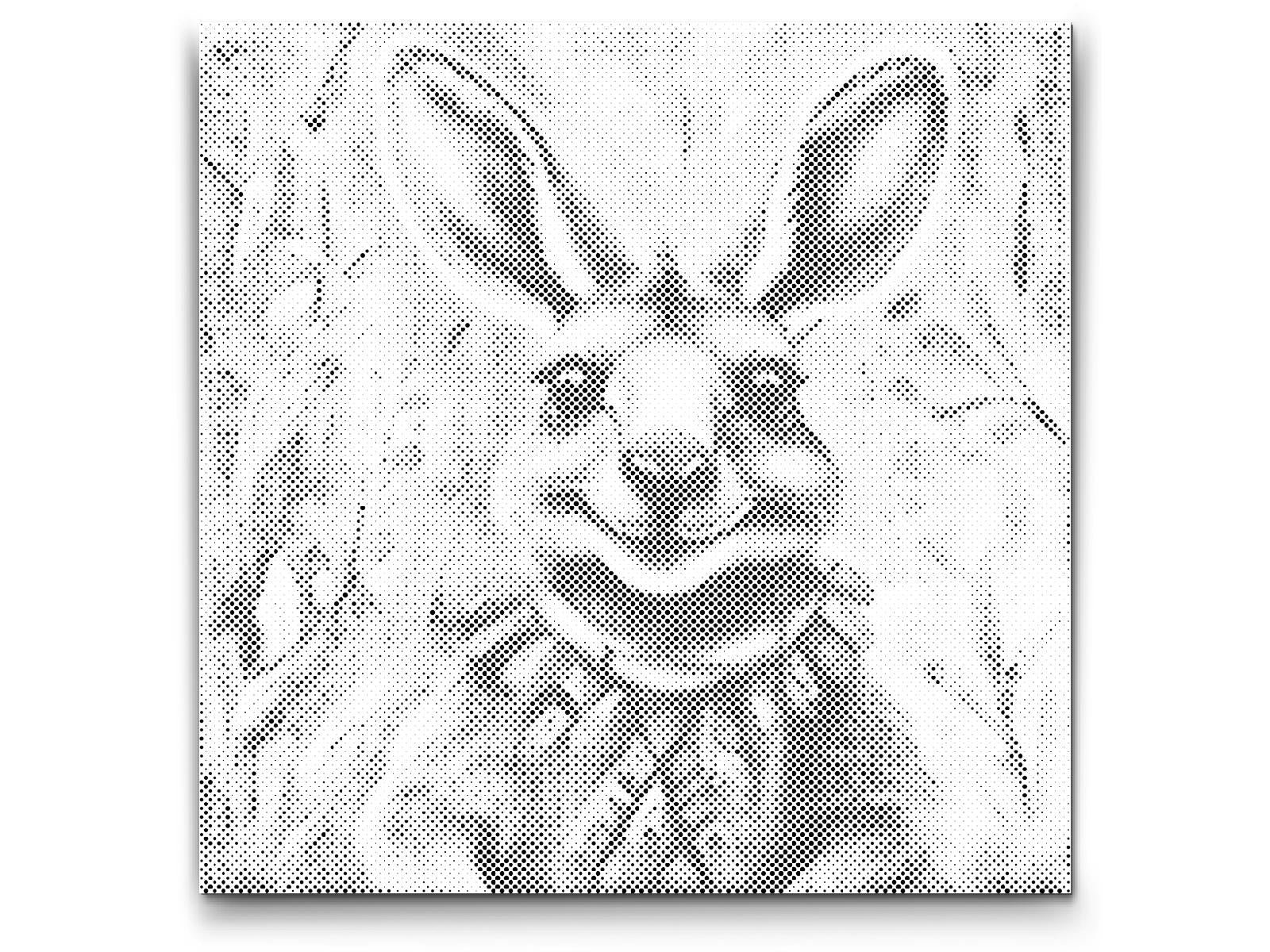 Kangourou joyeux - Dottingo