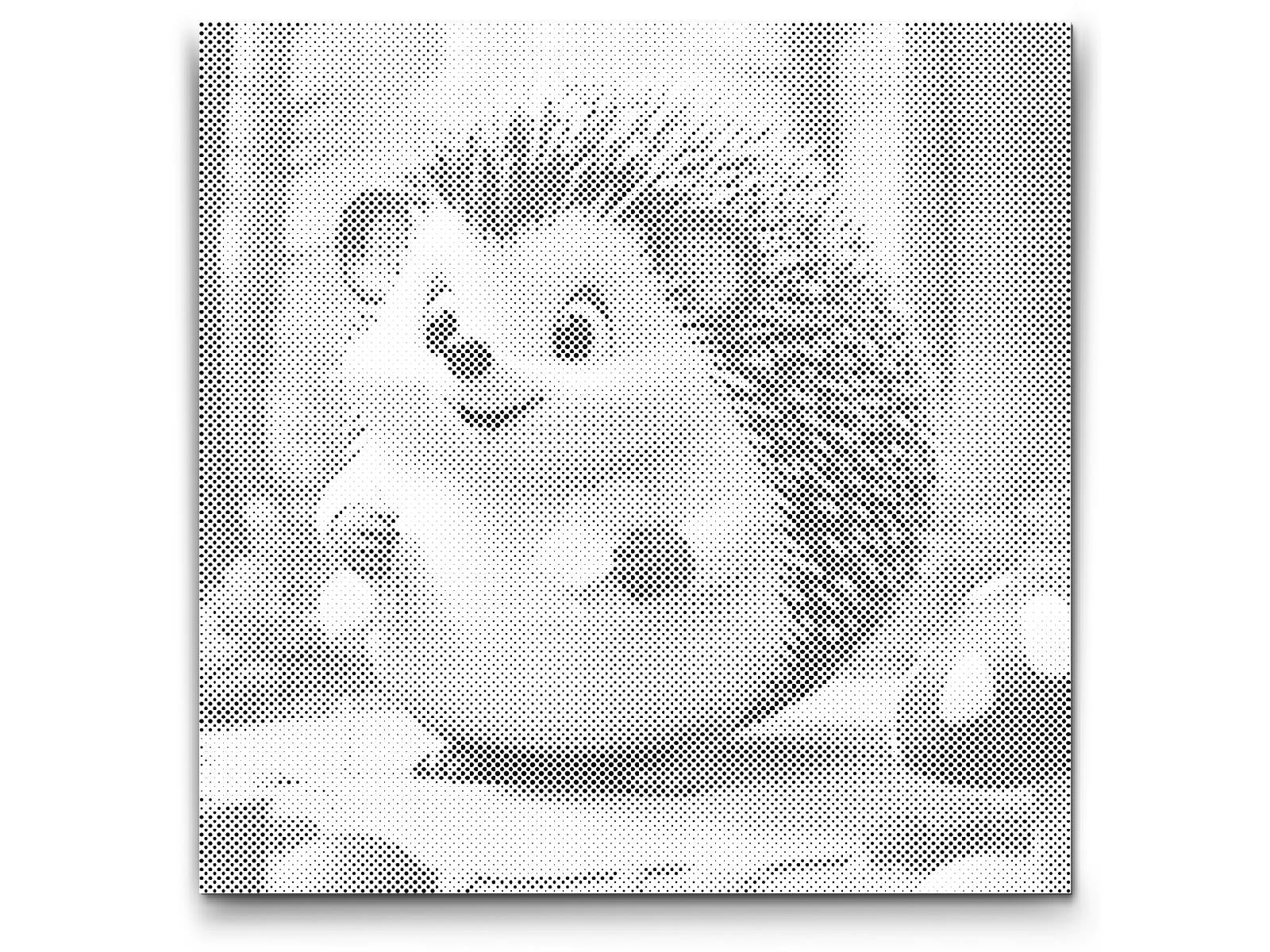 Hérisson mignon - Dottingo