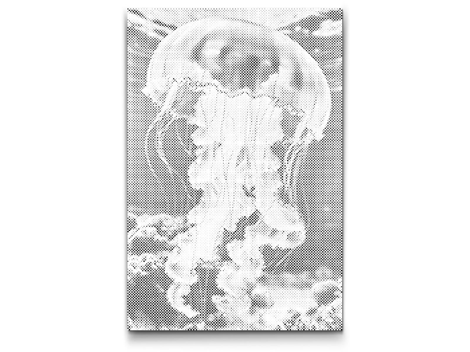 Méduse dans la mer - Dottingo