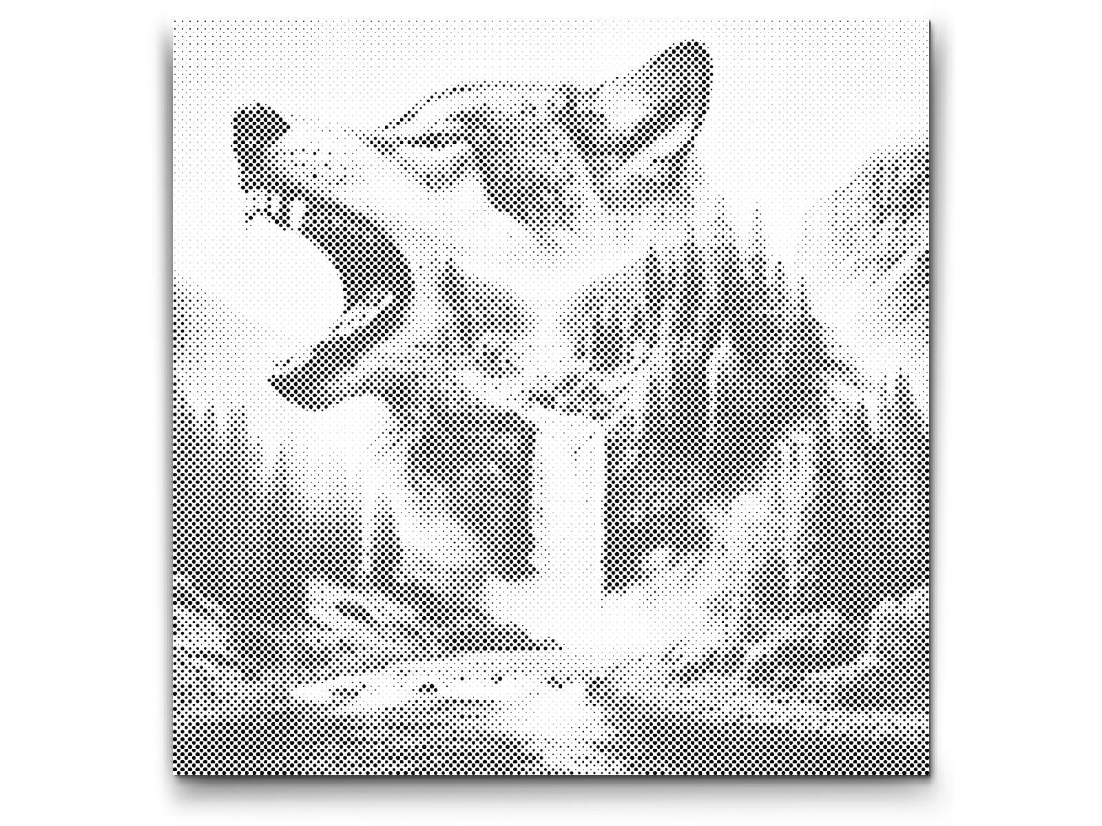 Cascade et loup - Dottingo