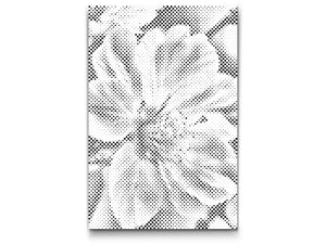 Fleur de cerisier - Dottingo